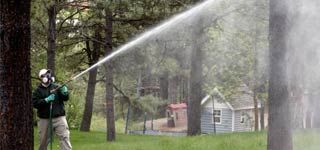 Man spraying a tree with pest control fluid