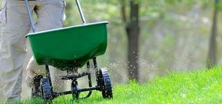 Fertilising machine spreading fertiliser on grass