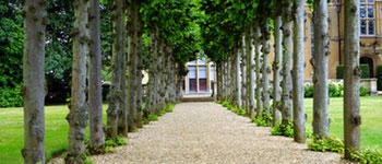 Grounds Maintenance and Landscape Services image showing trees neatly aligned